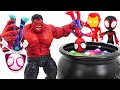 Marvel Spidey and His Amazing Friends Spider-Man VS Red Hulk! | DuDuPopTOY