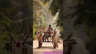 Tre Mere Honto Pe ringtone oldhindi