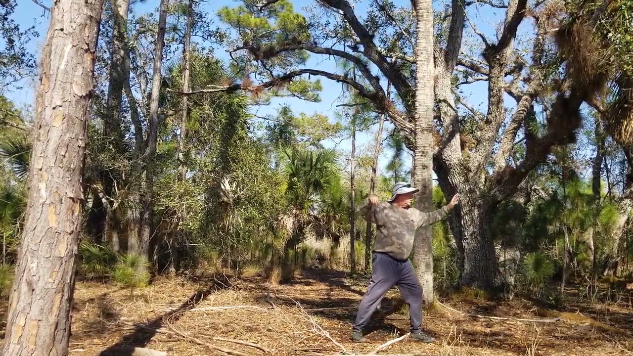 Staggering Tai Chi -  42 and Long Yang Form  Upland Pine Swamp