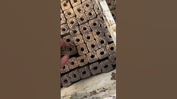 Replace Filter Media Of KOI Pond Bakki Shower Trickle Filter #koi #koifish #filtermedia #fishpond