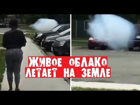 ОБЛАКО УПАЛО С НЕБА НА ЗЕМЛЮ / Как Такое Возможно?