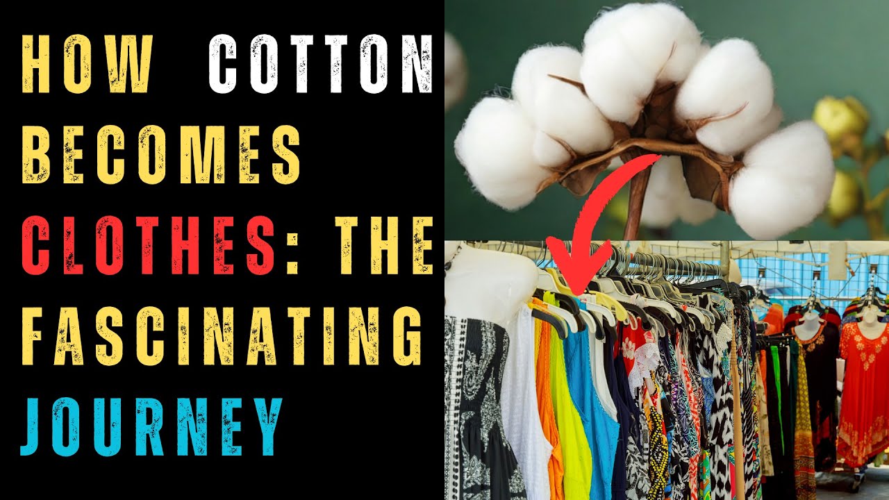 The Journey of Cotton: From Field to Fashion - YouTube