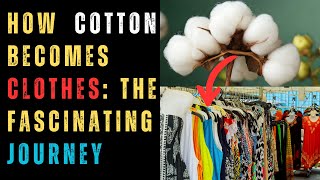 The Journey of Cotton: From Field to Fashion