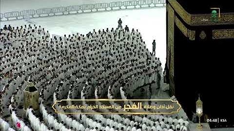 ' خواتيم سورة الأنبياء ٨٣ - ١١٢ ' الشيخ #بندر_بليلة صلاة الفجر ٣-١١-١٤٤٦ هـ