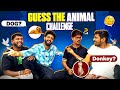 Guess the animal challenge  dhruvmashru 