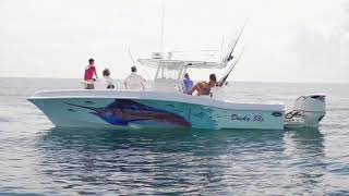 2017 Best Boat Dusky 33