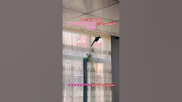 تلاوه عطره بالذكرر الكريم #اكسبلور #cutebird #birds #cuteparrot #foryou