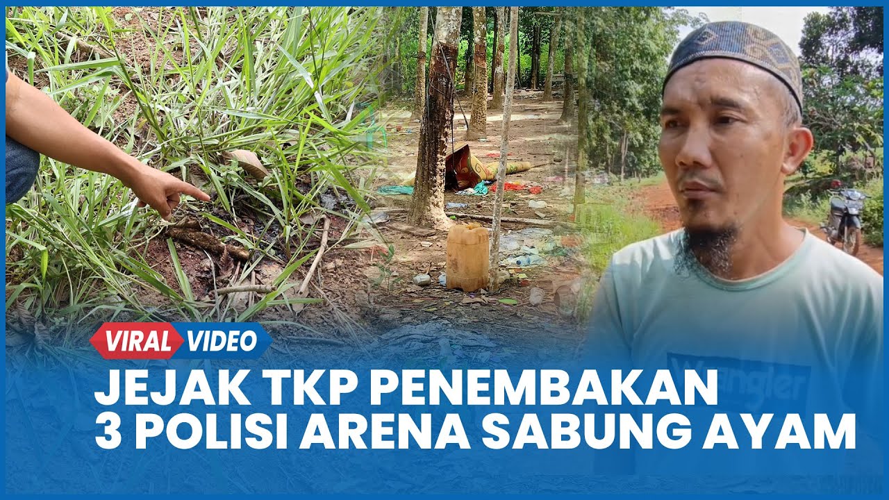 Jejak TKP Penembakan 3 Polisi Arena Sabung Ayam di Way Kanan Lampung, 13 Peluru & 14 Ayam Ditemukan