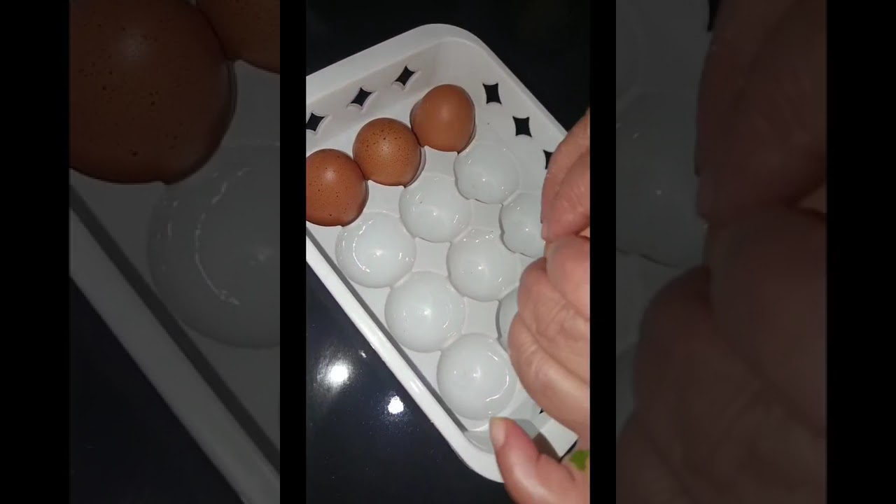 #العقلالنير