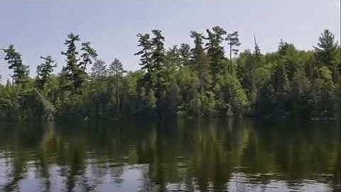 On Nature and the Principle of Incommensurability