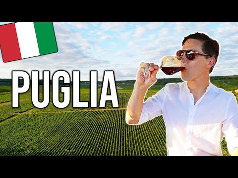 Puglia Wine Tour: 3 Italian Vineyards In 1 Day 🍷🇮🇹