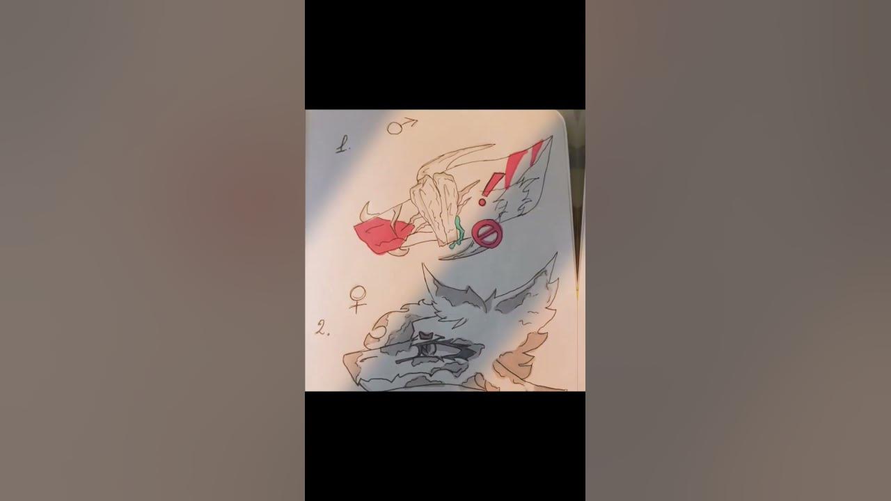 Идеи для драконов 🐲 ^_^ - YouTube