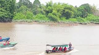 hari ke-3 regatta saratok, final perahu 10 #regatta #saratok #borneo #funny #fun #home