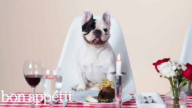 Manny the Frenchie and a Lucky Rescue Pup Indulge in a 4-Star Meal