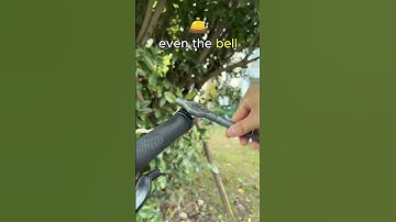 Ultimate 24in1 Ratchet Screwdriver Set for DIY Projects #tools #DIY