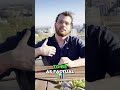 Write Content AI and Humans Love