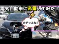初めて電気自動車に充電してみた!【日産リーフ】操作は簡単!お値段は?燃費は?充電時間は?