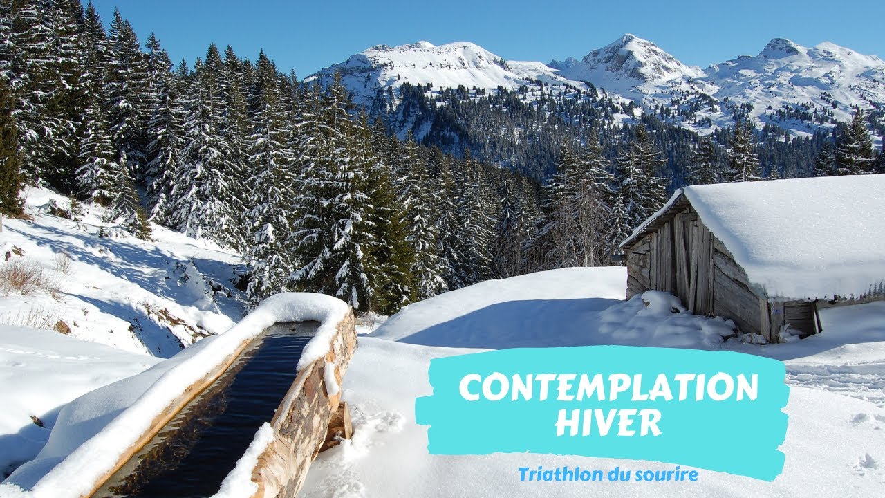 Contemplation Hiver - YouTube