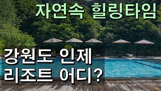 스위스를 한국으로 옮겨둔 것 같은 이곳에 애견 동반도 가능 | 강원도 인제 맑은물리조트