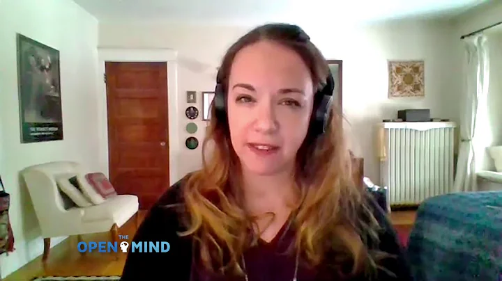 Democratic Insecurity in America - Sarah Kendzior ...
