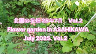 4K 北国の花畑　25年7月 Vol.2 Flower garden in ASAHIKAWA July 2025 Vol.2