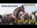      2      raajal stud farm gujrat  pushkar horse mela 2023