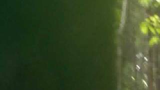 【サバゲ】CIMAX20090621