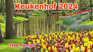 Walk In Keukenhof Garden 2024, Netherlands || Walking Santai.