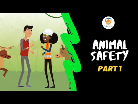 Animal Safety (Part 1) - SafetyKay