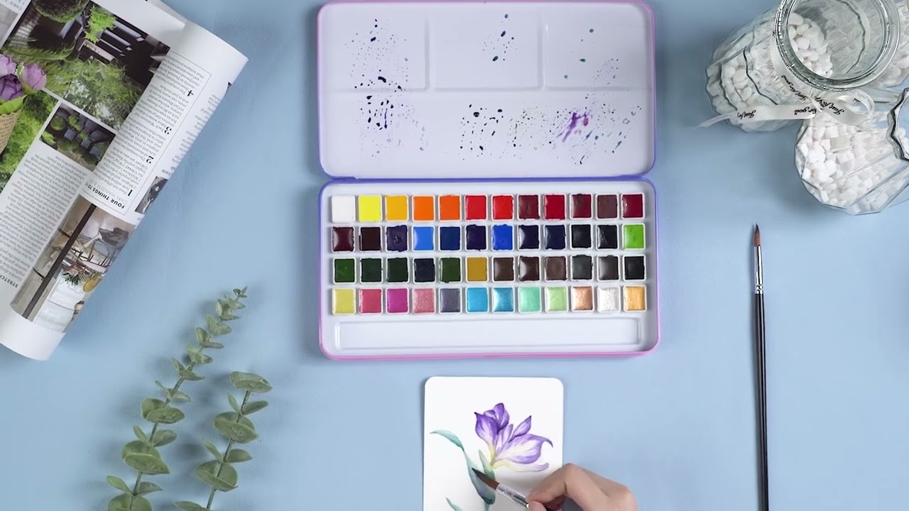 MeiLiang 48 Vivid Colors Watercolor Paint Set – Lightwish
