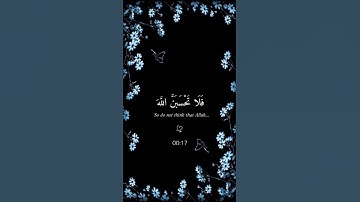 اكتب شيء تؤجر عليه 🤍🌷القارئ عبدالرحمن مسعد 🤍 #quran #كرومات_قرآن #شاشه_سوداء #أرح_قلبك 🥺