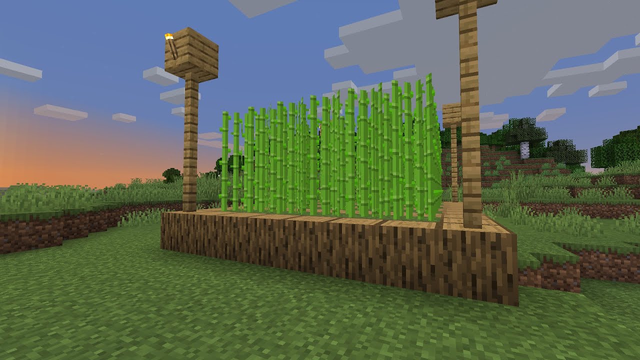 Minecraft Sugar Cane Farm - Automated Sugar Cane Farm Tutorial