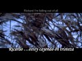 Slowdive - Richard (Subtitulada Ingles - Español)