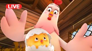 ★LIVE! Como Kids TV | Pat a pat full episodes | Cartoon video for kids | Animation