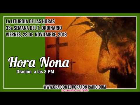 HORA NONA -ORACION A LAS 3 PM – VIERNES 23 DE NOVIEMBRE, 2018 XXXIIIª SEMANA DEL TIEMPO ORDINARIO agradecimiento frases