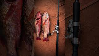 fishing video #fishing #fishingvideo #love #newmusic