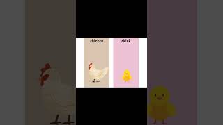animals and their childrens|జంతువుల పేర్లు వాటి పిల్లలు#englishlanguage #animals#ytshorts