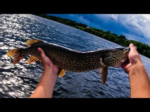This Secret Lake Is Loaded with Big Bass and Pike