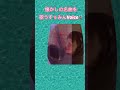 風になりたい/中の森band #歌ってみた #cover #カバー #カバー動画 #歌謡曲 #平成歌謡 #風になりたい #吉田拓郎カバー #川村ゆうこカバー