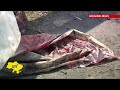 East Ukraine Anti-Terror Operation: Ukrainian military confronting Kremlin-backed insurgent forces
