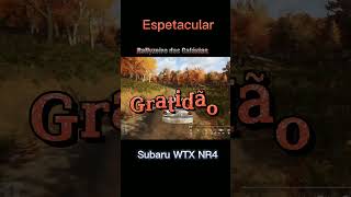 Subaru WTX - Cautela ao pilotar - Dirt Rally 2.0 - Danger, Drive with caution