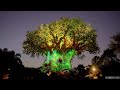 Tree of Life Awakenings - Disney Medley [4K 2022]