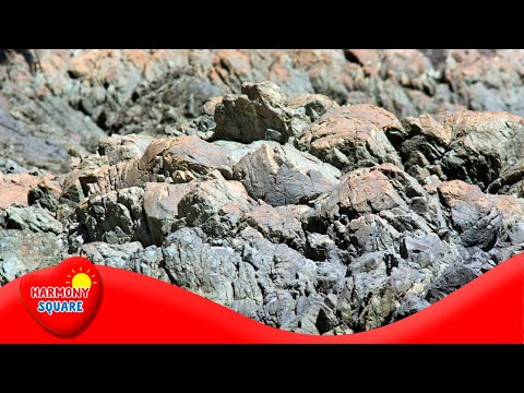 Rock and the Rock Cycle - More Grades 9-12 Science on the Learning Videos Channel