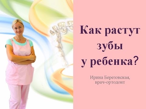 ✿ Как растут зубы у ребенка? Когда у ребенка начинают расти зубы? ✿ Как растут зубы у ребенка? Когда у ребенка начинают расти зубы?