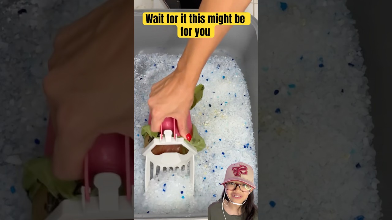 Do you need this⁉️😊 