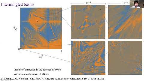 CS08A - Yuanzhao Zhang: Critical Switching in Globally Attractive Chimeras