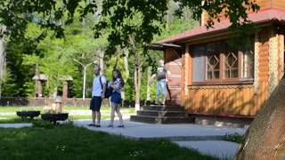 Беловежская Пуща, 2017