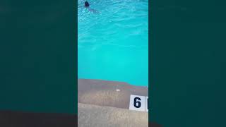 HG Goes To The Pool