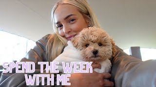 SPEND THE WEEK WITH ME | MARY BEDFORD
