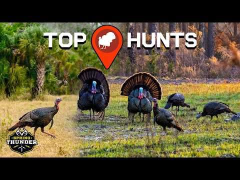 EPIC Turkey Hunting | Best of Spring Thunder | Presented by OnX thumbnail